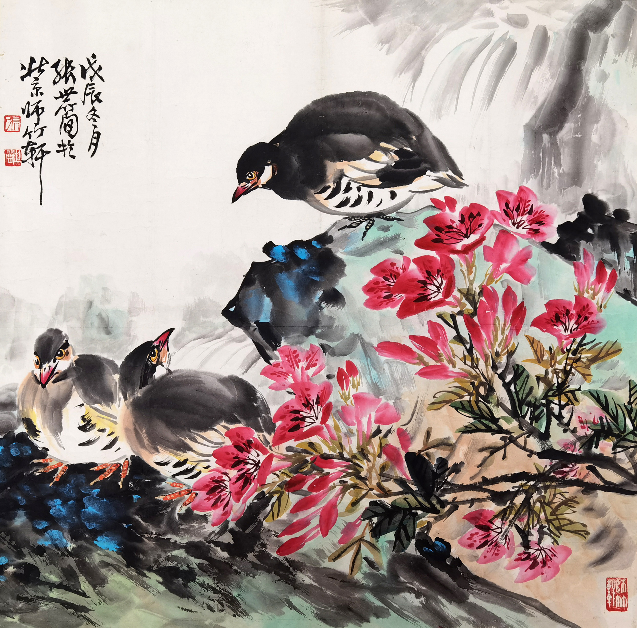 张世简     花鸟
