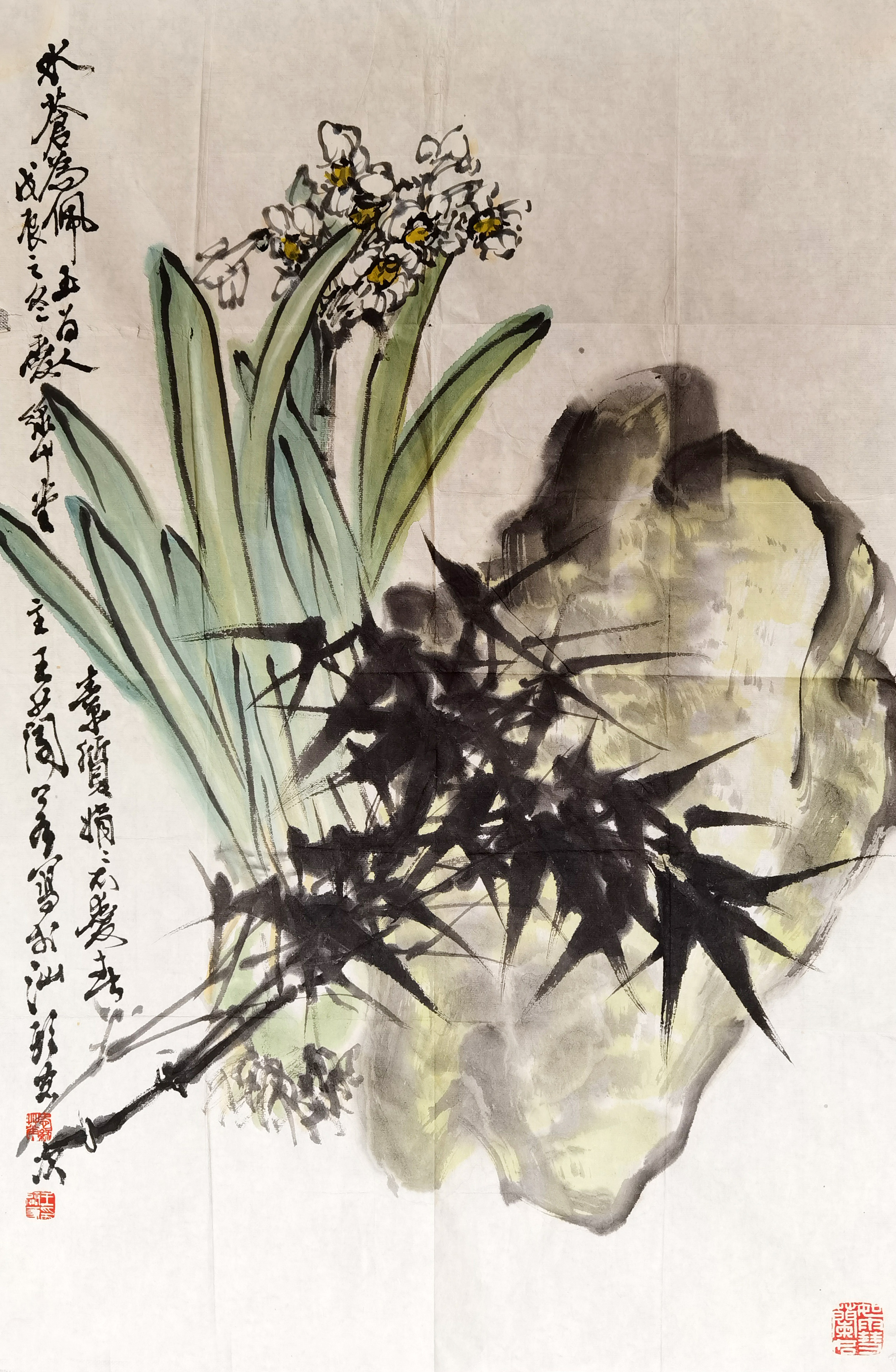 王兰若     花卉