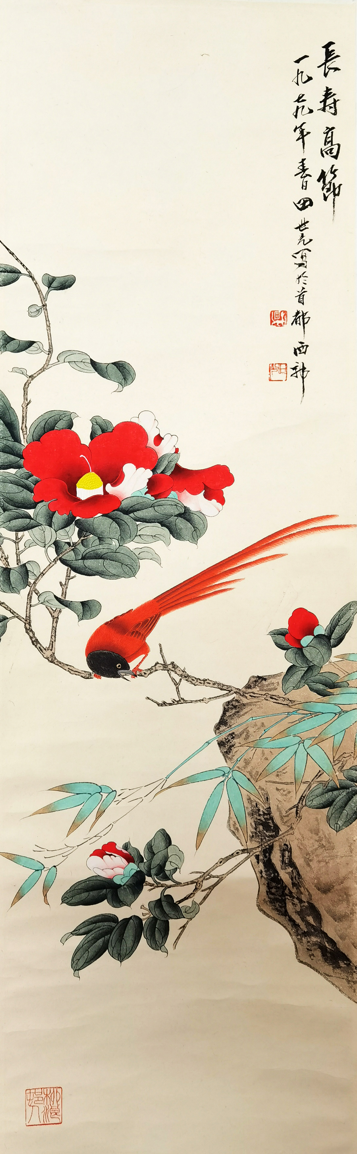 田世光     花鸟