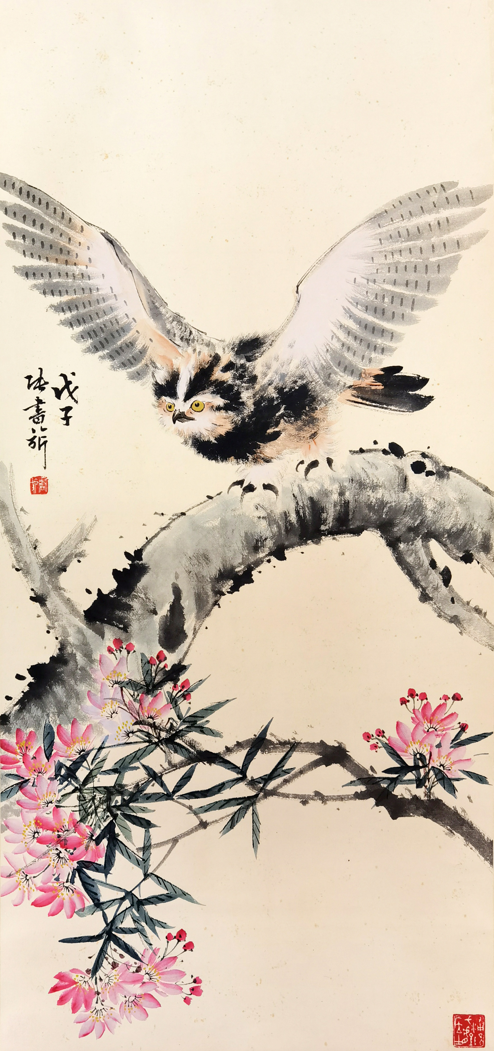 张书旗      猫头鹰