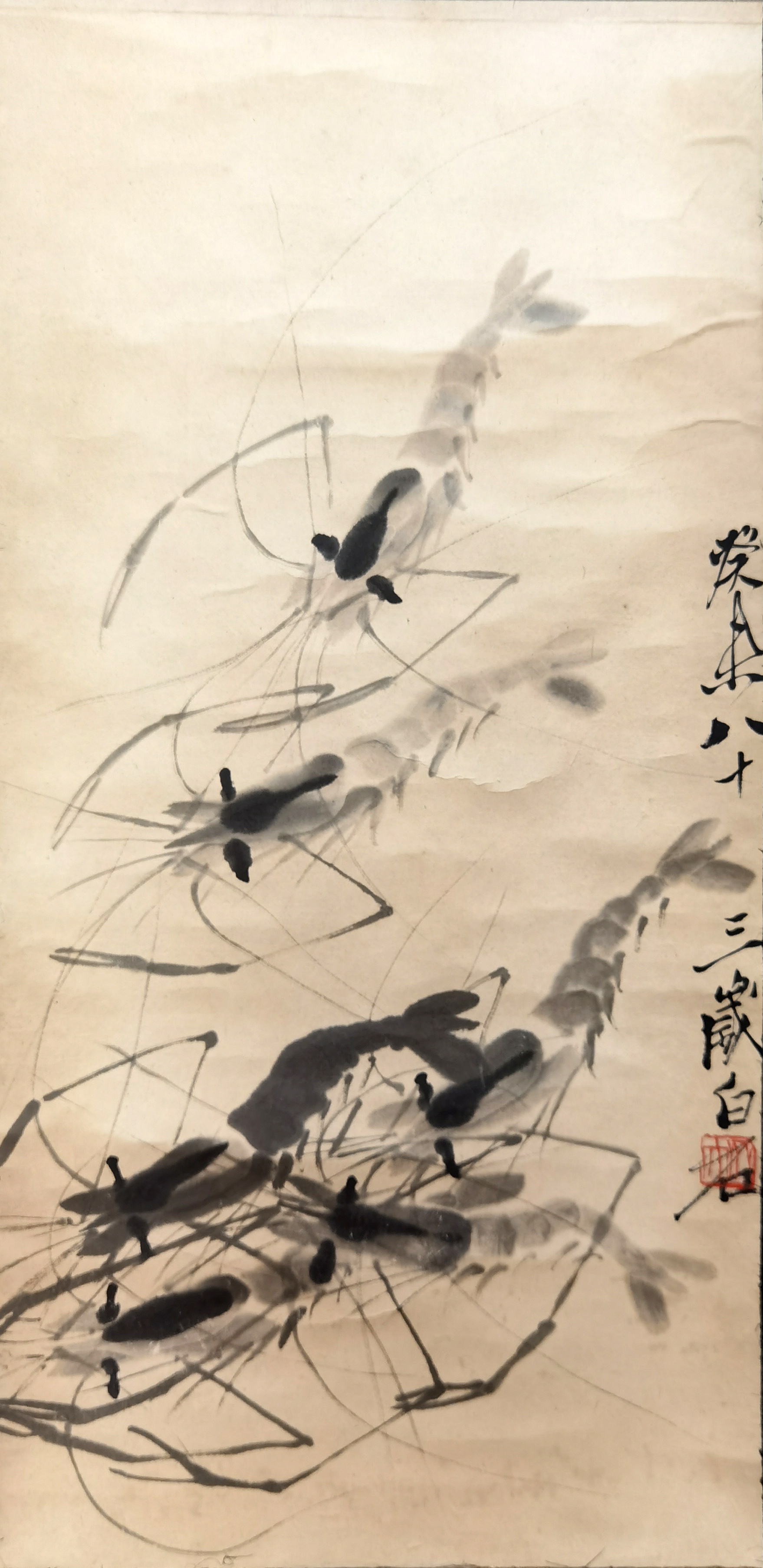 齐白石     虾