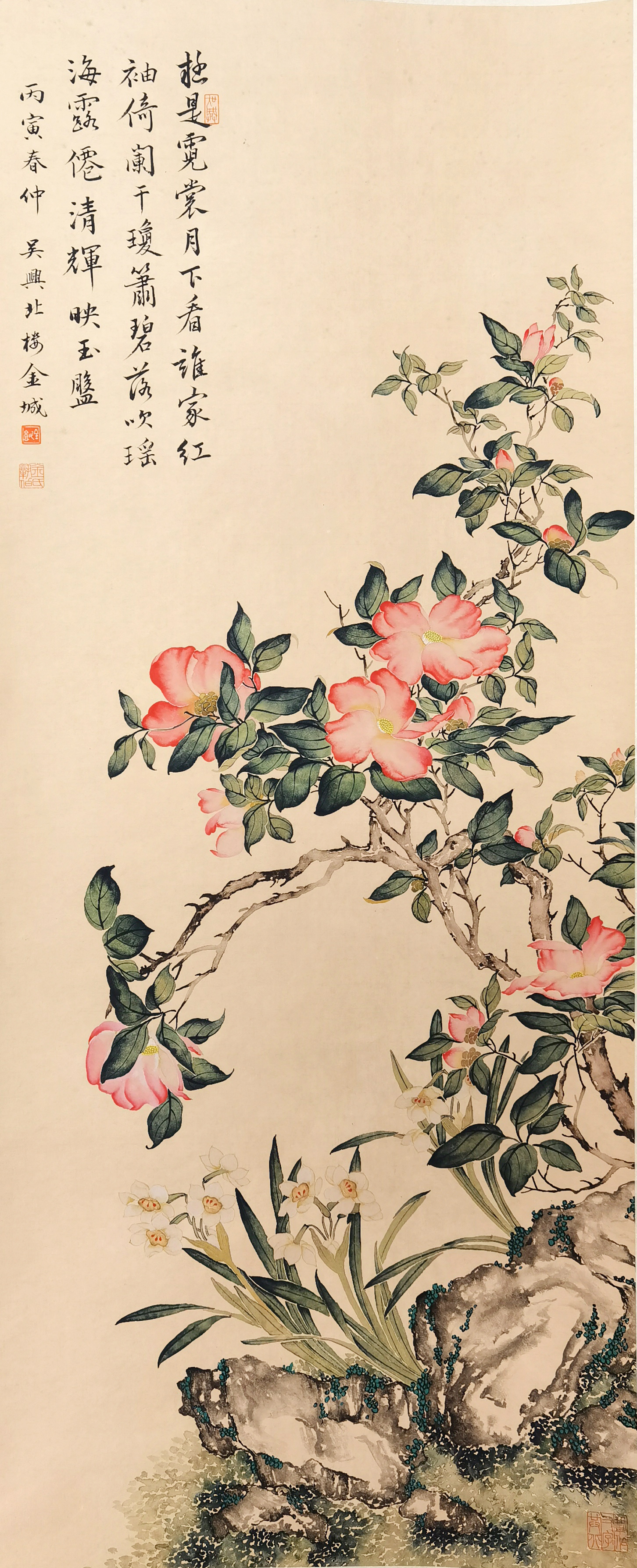 金城     花卉