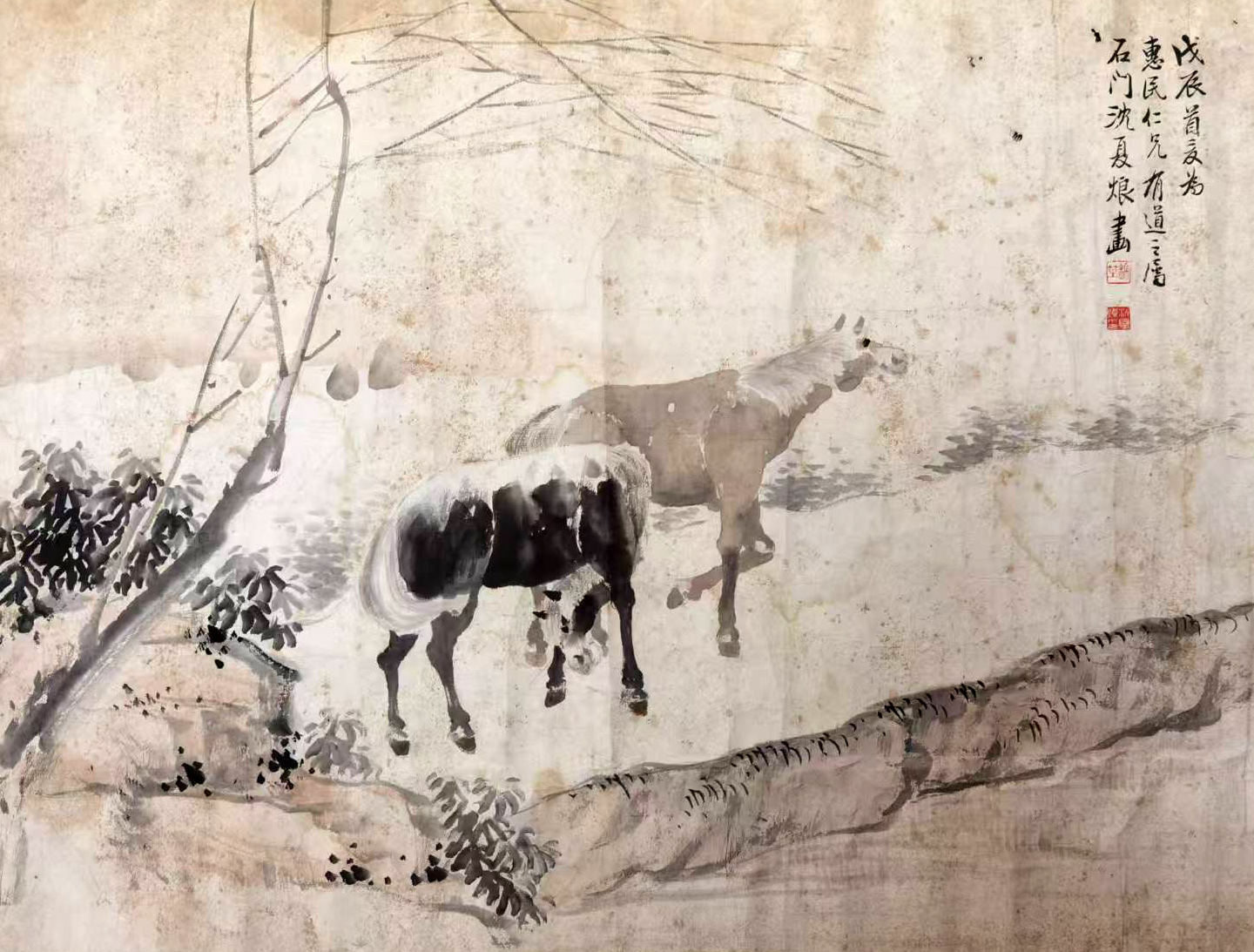 沈夏烺     双马图