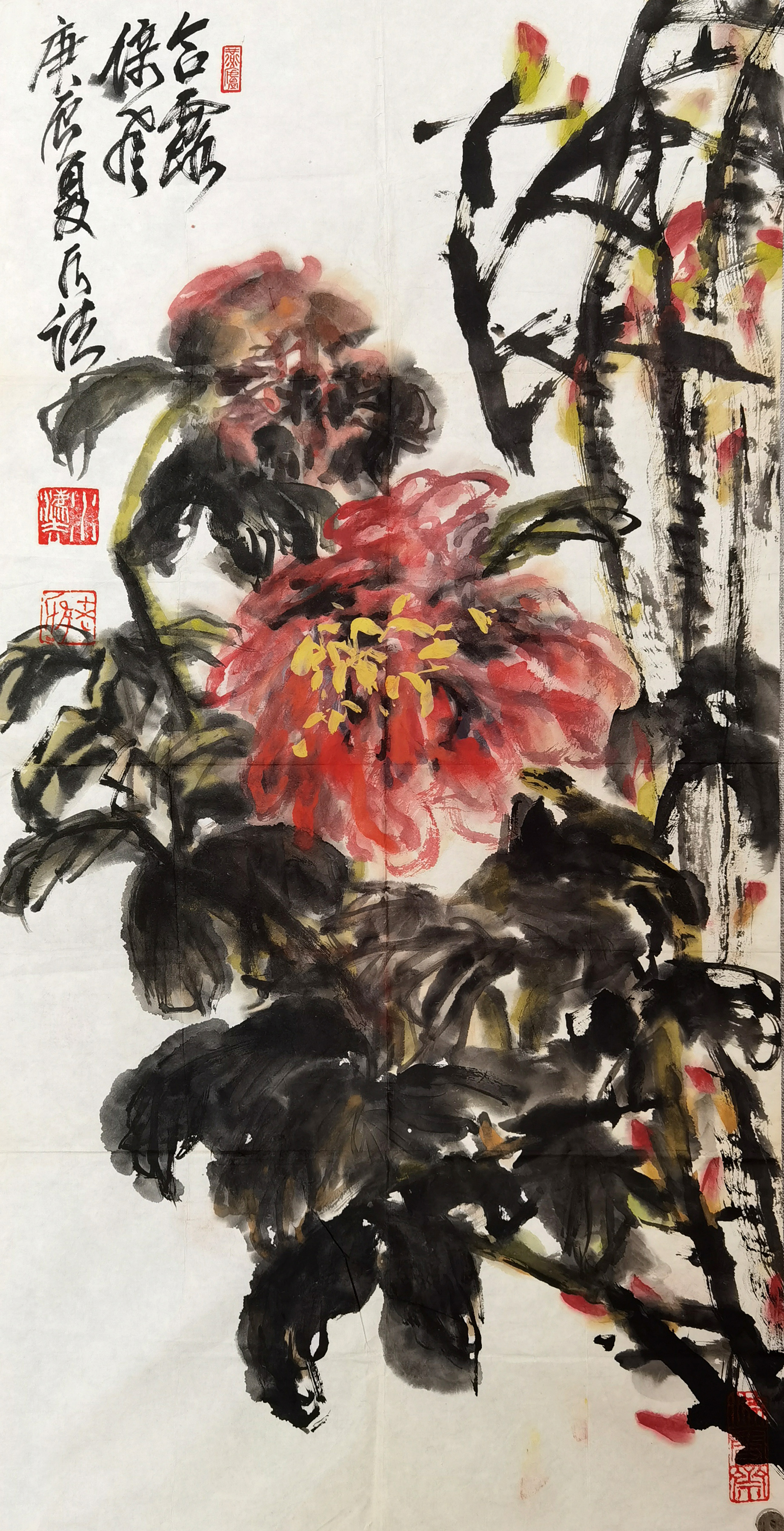 何水法     牡丹