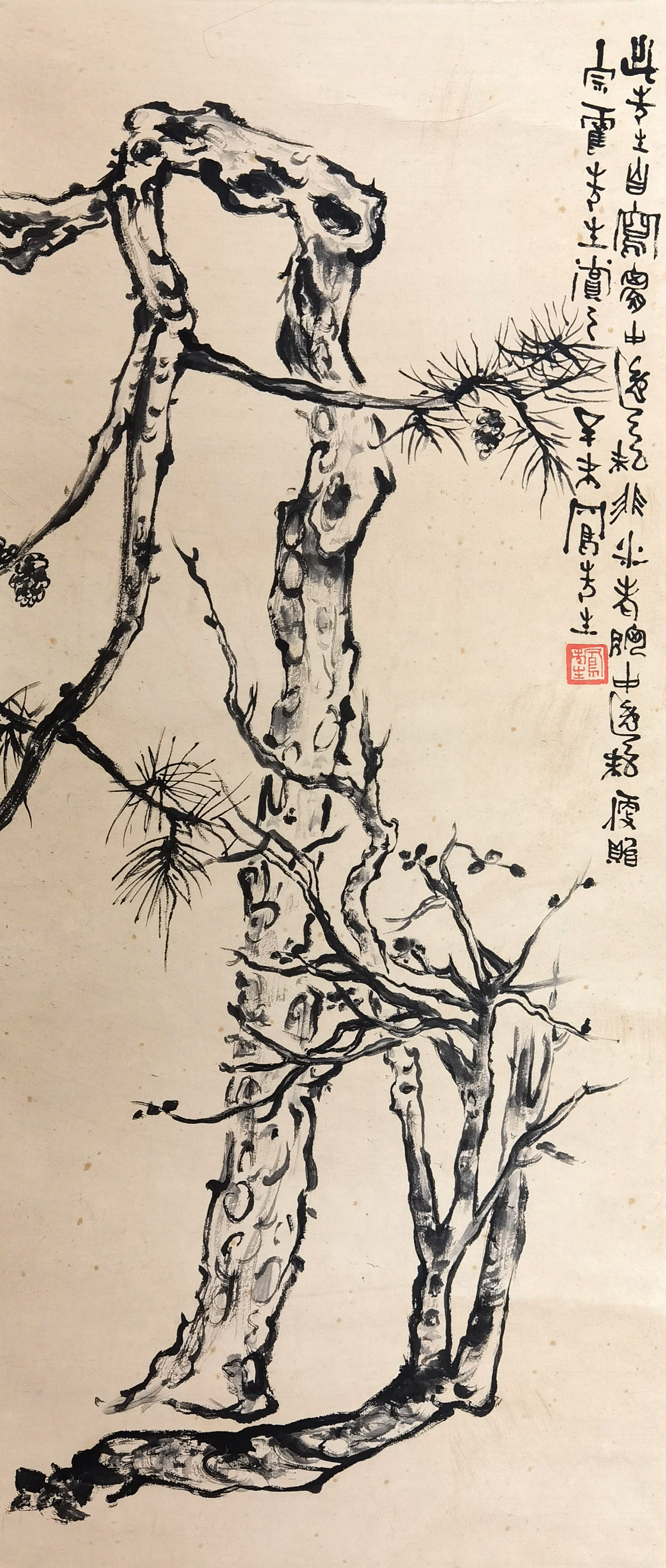 吕凤子     松
