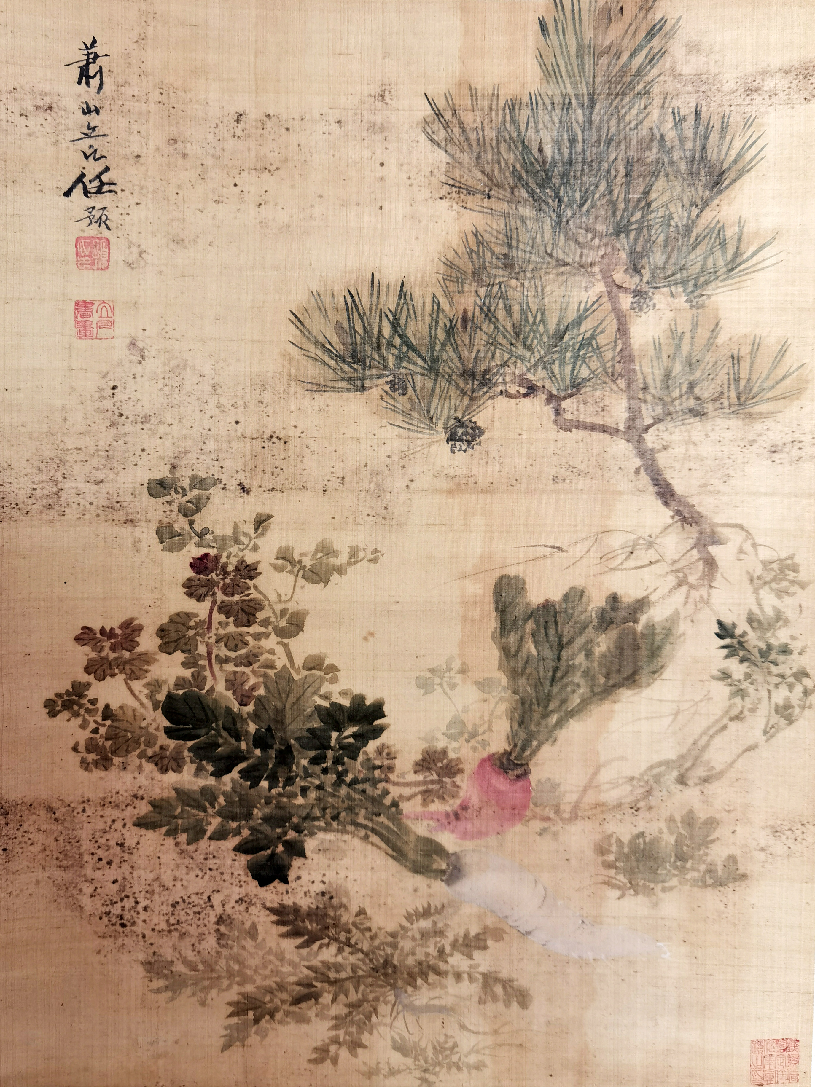 任预     花卉