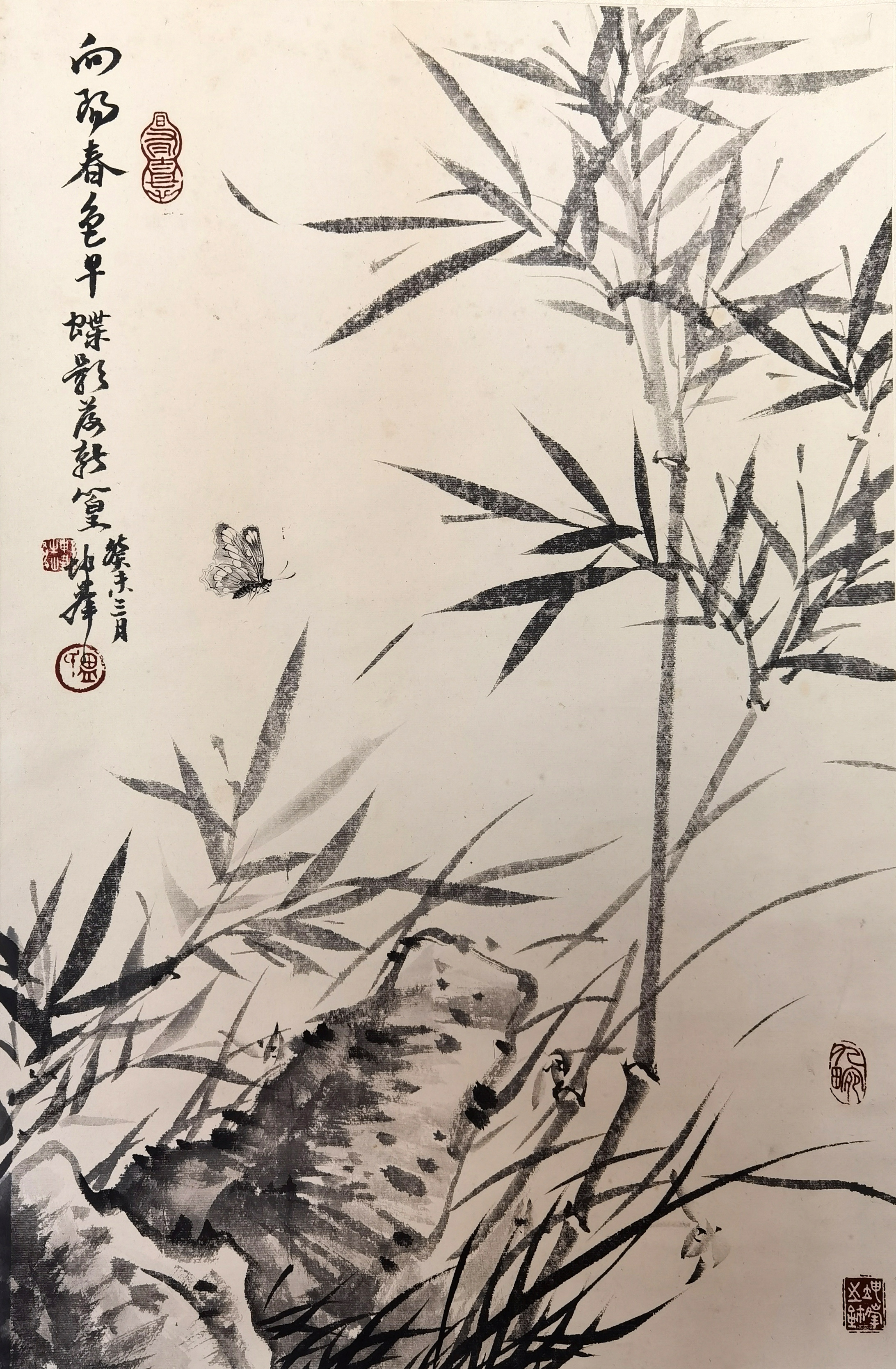 卢坤峰     青色蝶影