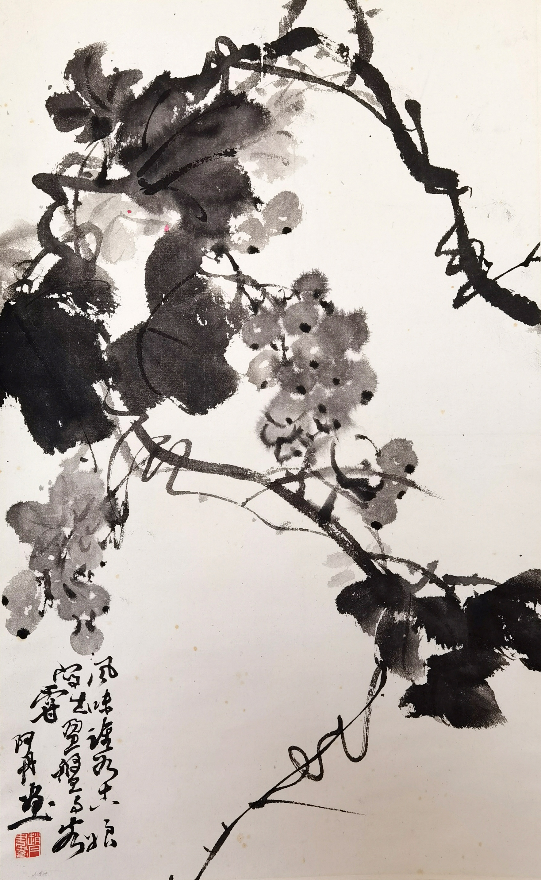 赵丹      葡萄