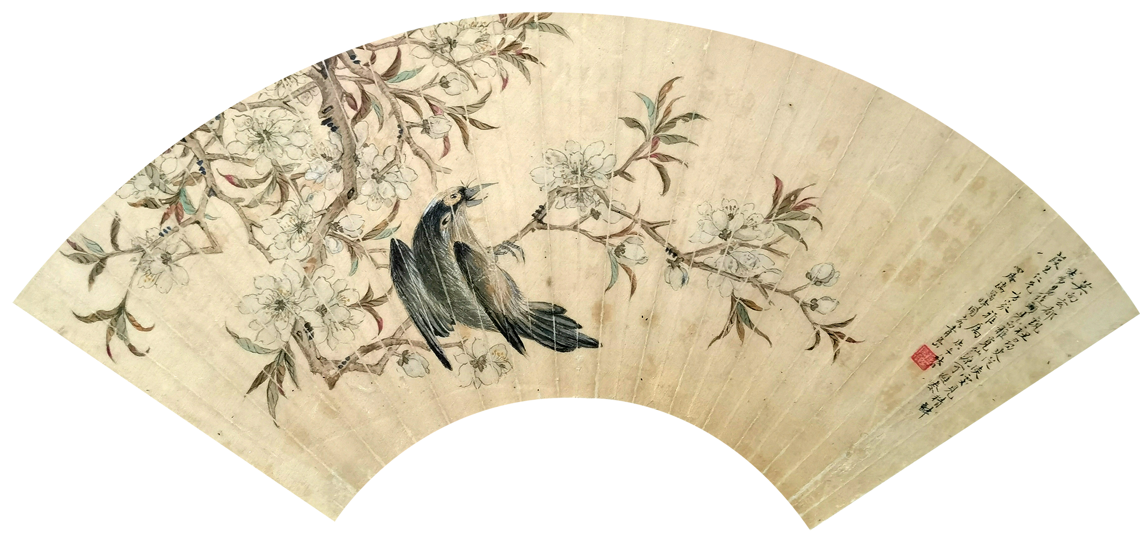 徐心庵     花鸟